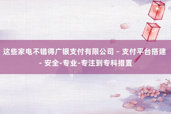 这些家电不错得广银支付有限公司 – 支付平台搭建 - 安全-专业-专注到专科措置